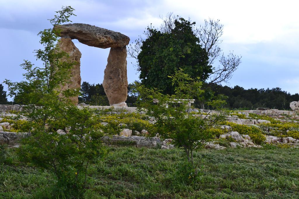 ألبيروبيللو Le Dimore Della Via Lattea المظهر الخارجي الصورة